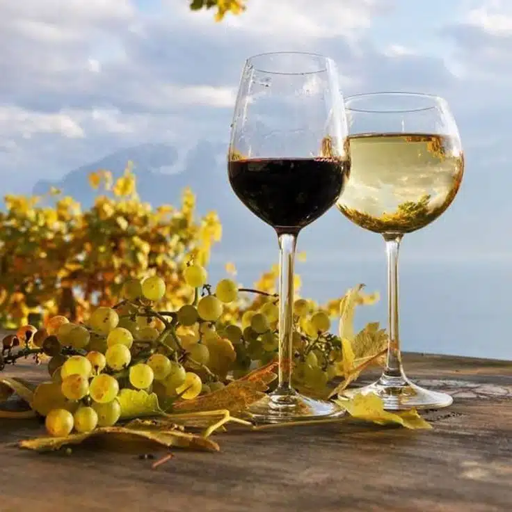 יין אדום ויין לבן
